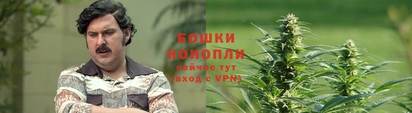 молекула духа Куйбышев