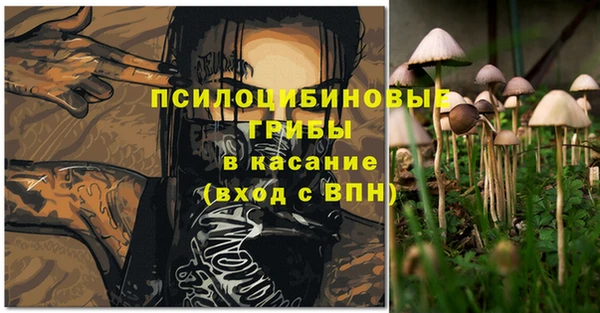 стафф Кулебаки