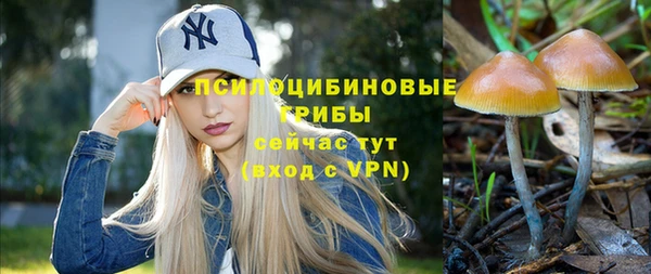 молекула духа Куйбышев
