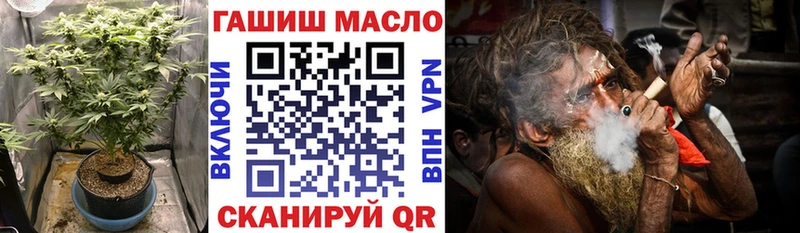 Купить закладки  Кировск  ТГК концентрат 